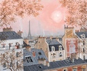 PMW-Ciel-rose-en-hiver