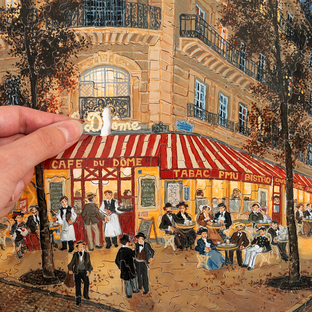 Puzzle-Le-Dôme-250