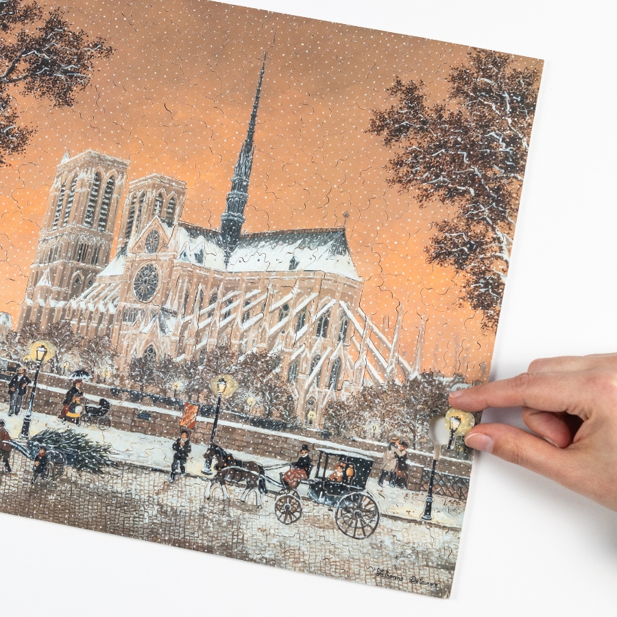 Puzzle-Première-neige-sur-Notre-Dame-650