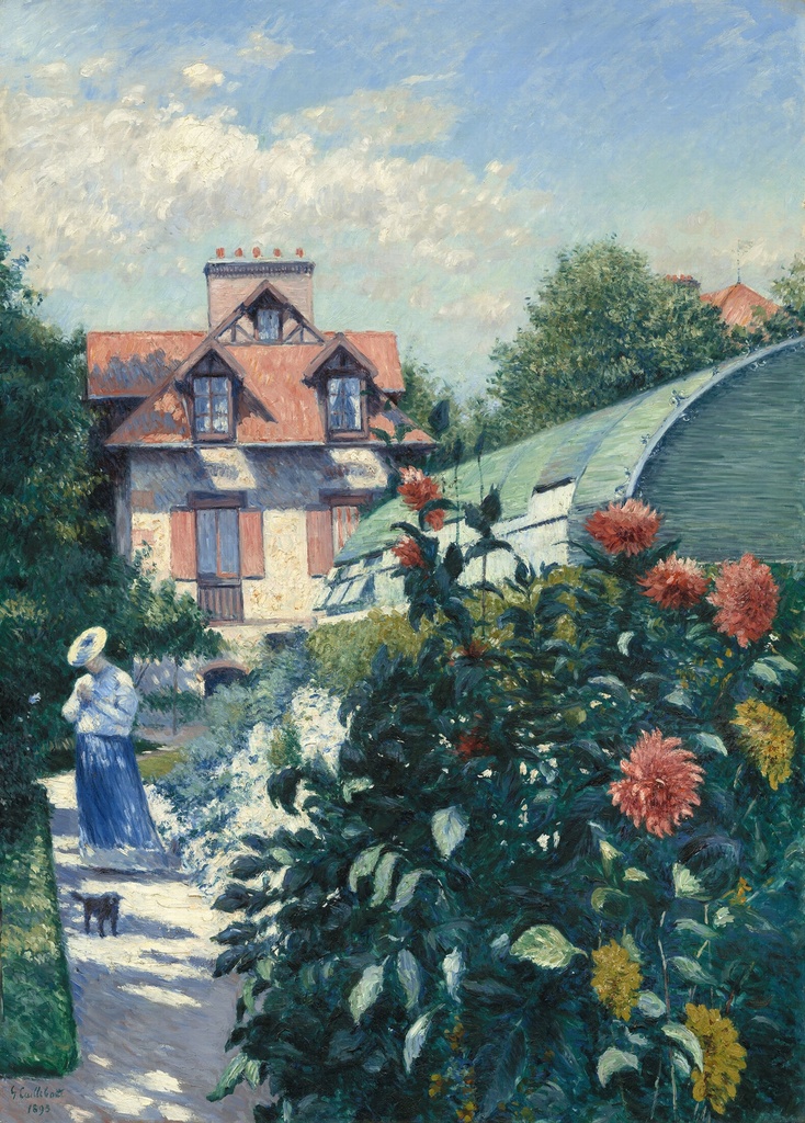 PMW-Les-dahlias