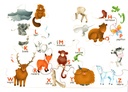Puzzle-enfant-Alphabet-des-animaux-12
