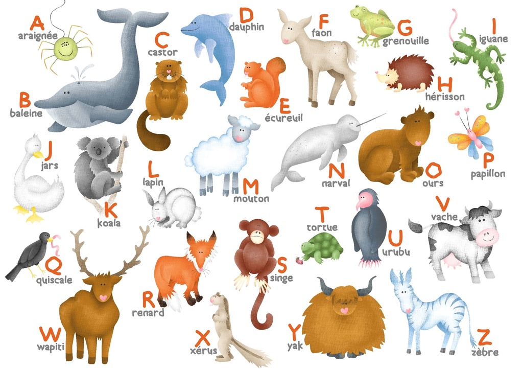PMW-Alphabet-des-animaux