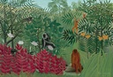 PMW-Forêt-tropicale-avec-singes