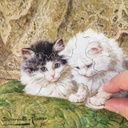 Puzzle-Deux-chatons-80