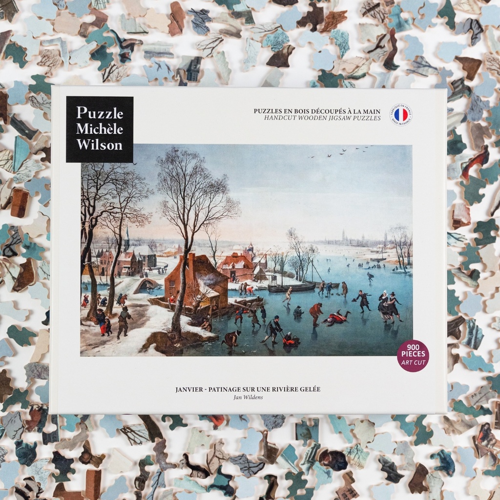 Puzzle-Janvier-900