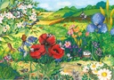 PMW-Prairie-en-fleurs