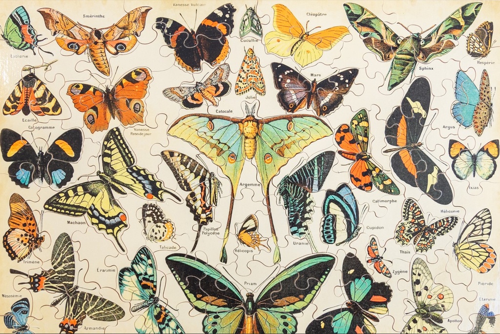 Puzzle-Papilons-100