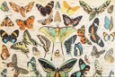 Puzzle-Papilons-100