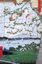 Puzzle-Pommiers-en-fleurs-150
