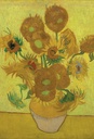 PMW-Les-tournesols
