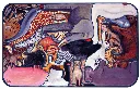 PMW-Animaux-en-folie