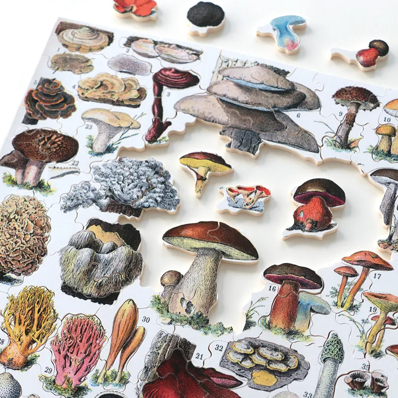 Puzzle-Les-champignons-250
