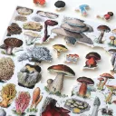 Puzzle-Les-champignons-250