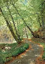 PMW-Sentier-boisé
