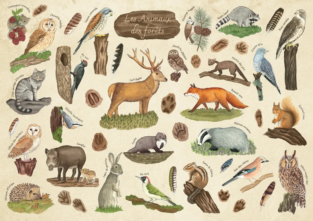PMW-animaux_des_foret.webp