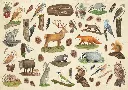 PMW-animaux_des_foret.webp