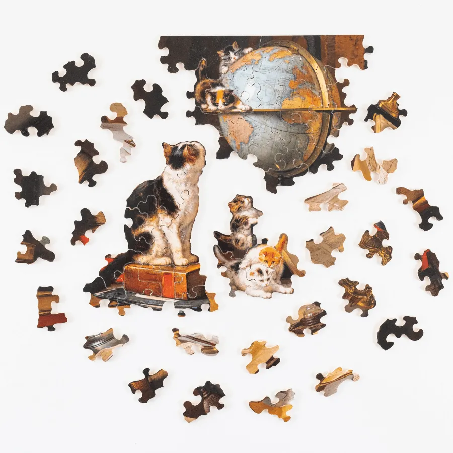 Puzzle-enfant-Les_voyageurs-100-3.webp