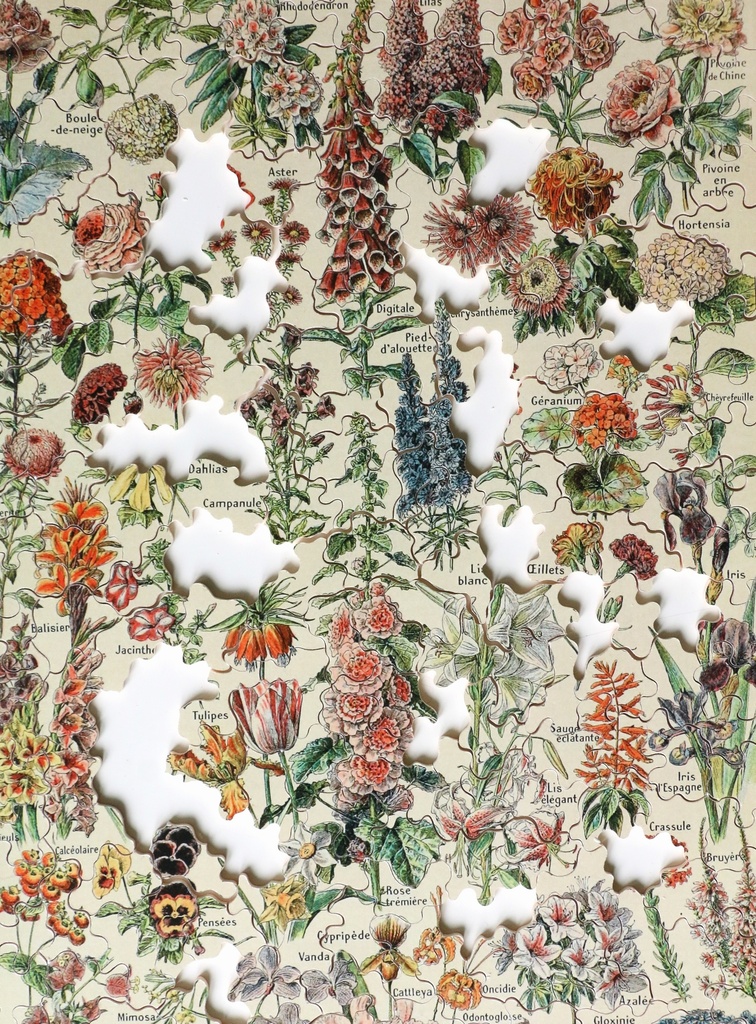 Puzzle-Fleurs-pour-tous-250-2