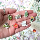 Puzzle-Plantes-médicinales-500