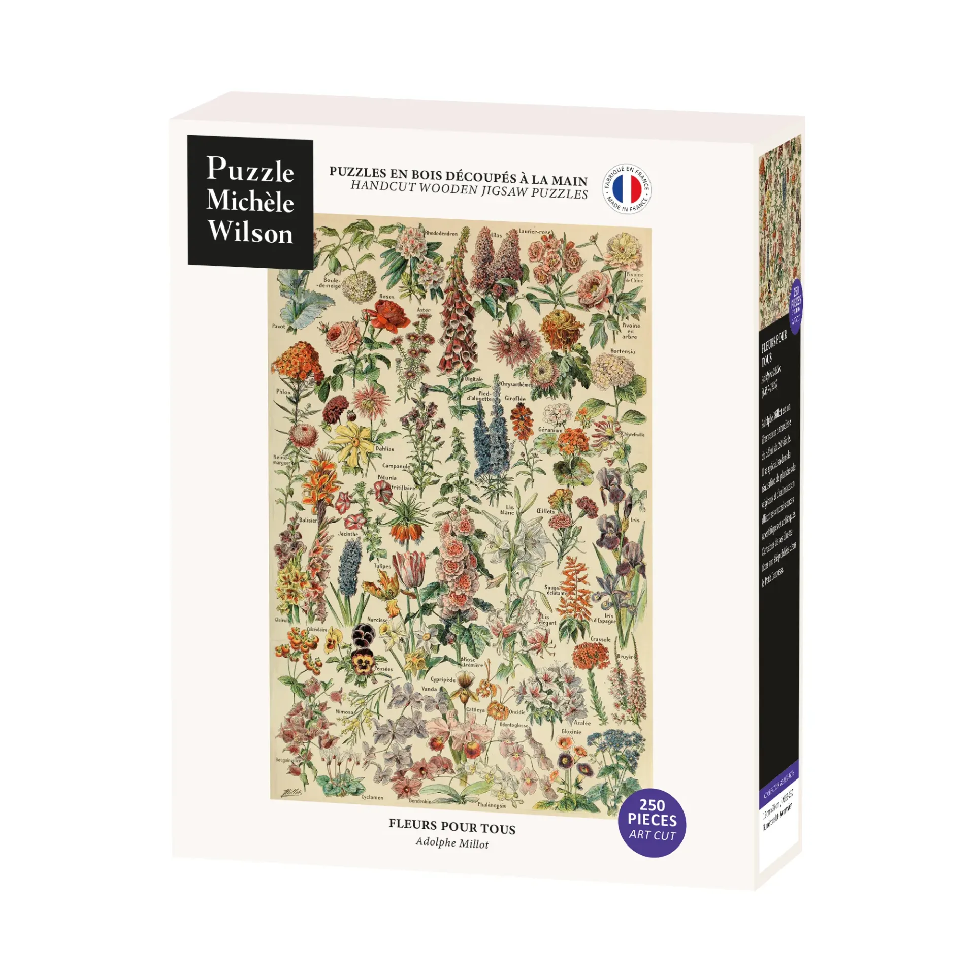 [A662-250] FLEURS POUR TOUS