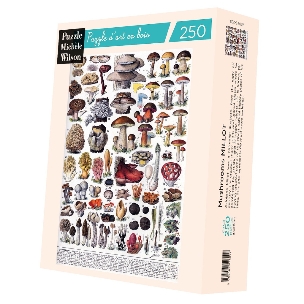 [A1092-250] LES CHAMPIGNONS HC