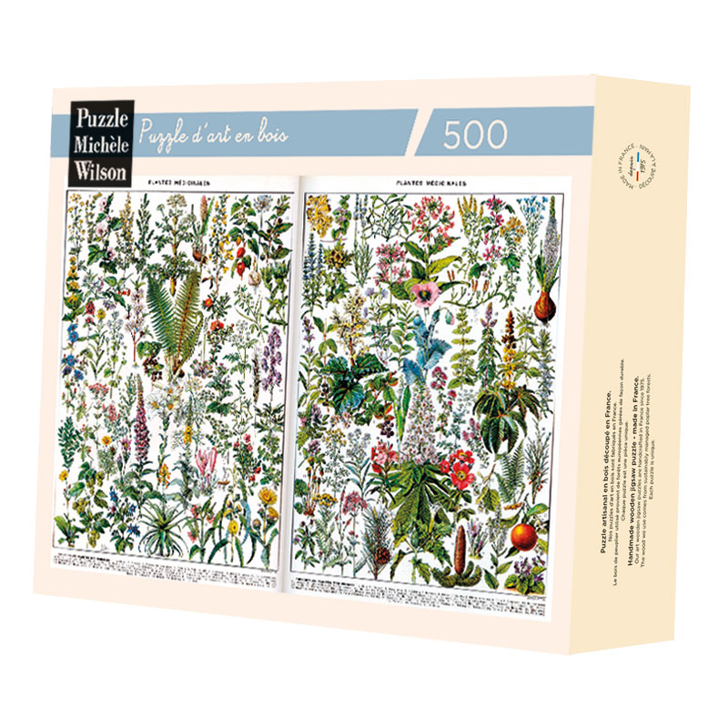 [A1163-500] PLANTES MÉDICINALES