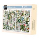 PLANTES MÉDICINALES