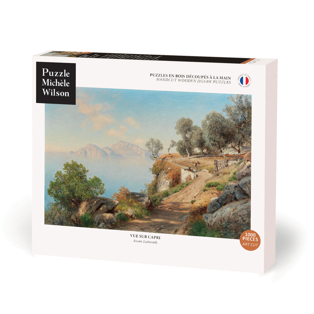 [A1301-1000] VIEW OF CAPRI