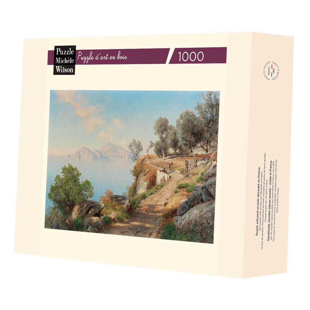 [A1301-1000] VIEW OF CAPRI
