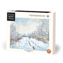 NEIGE À ARGENTEUIL
