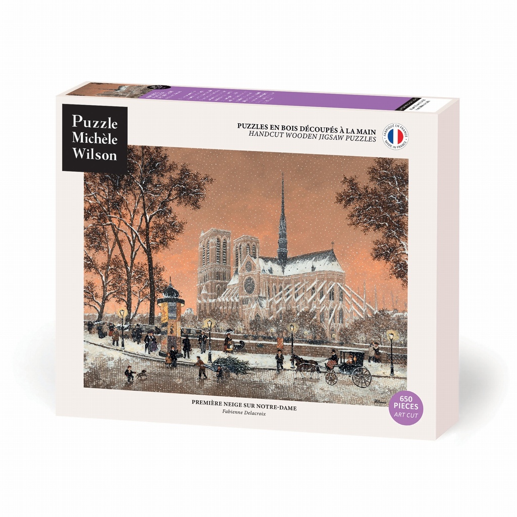 PREMIÈRE NEIGE SUR NOTRE-DAME