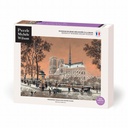 PREMIÈRE NEIGE SUR NOTRE-DAME