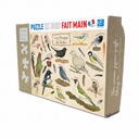 LES OISEAUX DU JARDIN